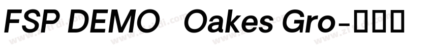 FSP DEMO   Oakes Gro字体转换